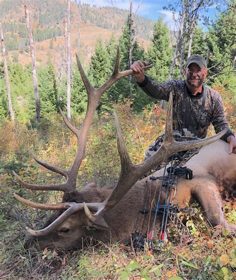 AN ARCHERY ELK HUNT 